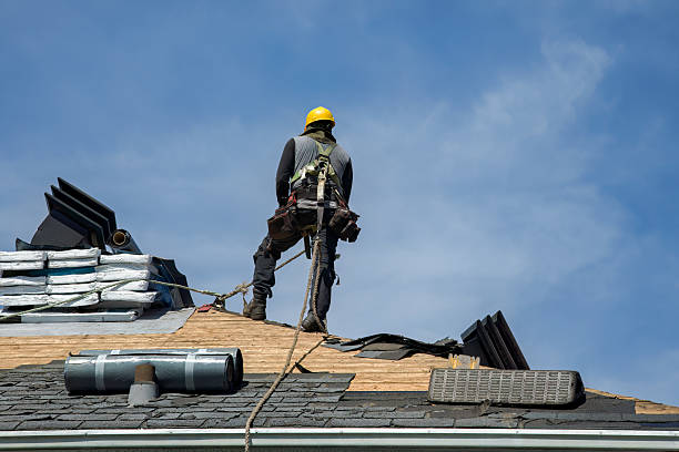 Professional Gutter Installation technician working in Rhodesdale, MD
